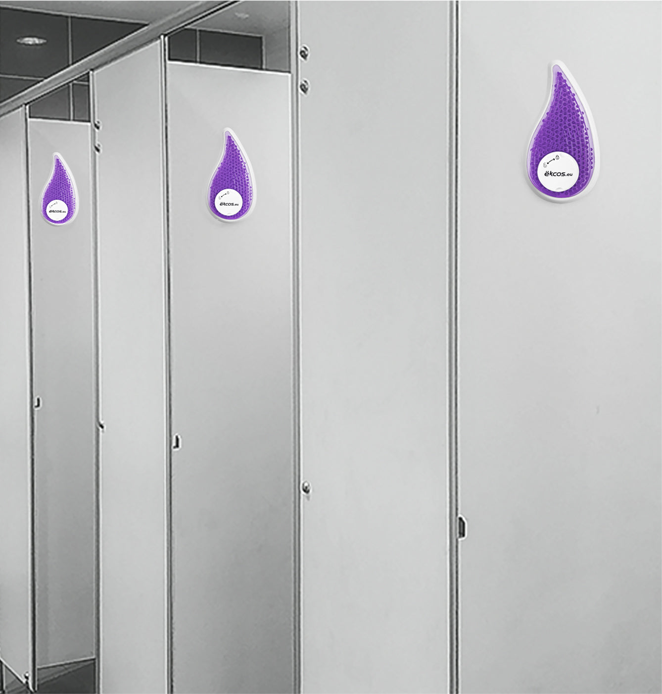 frësh drop purple / lavender