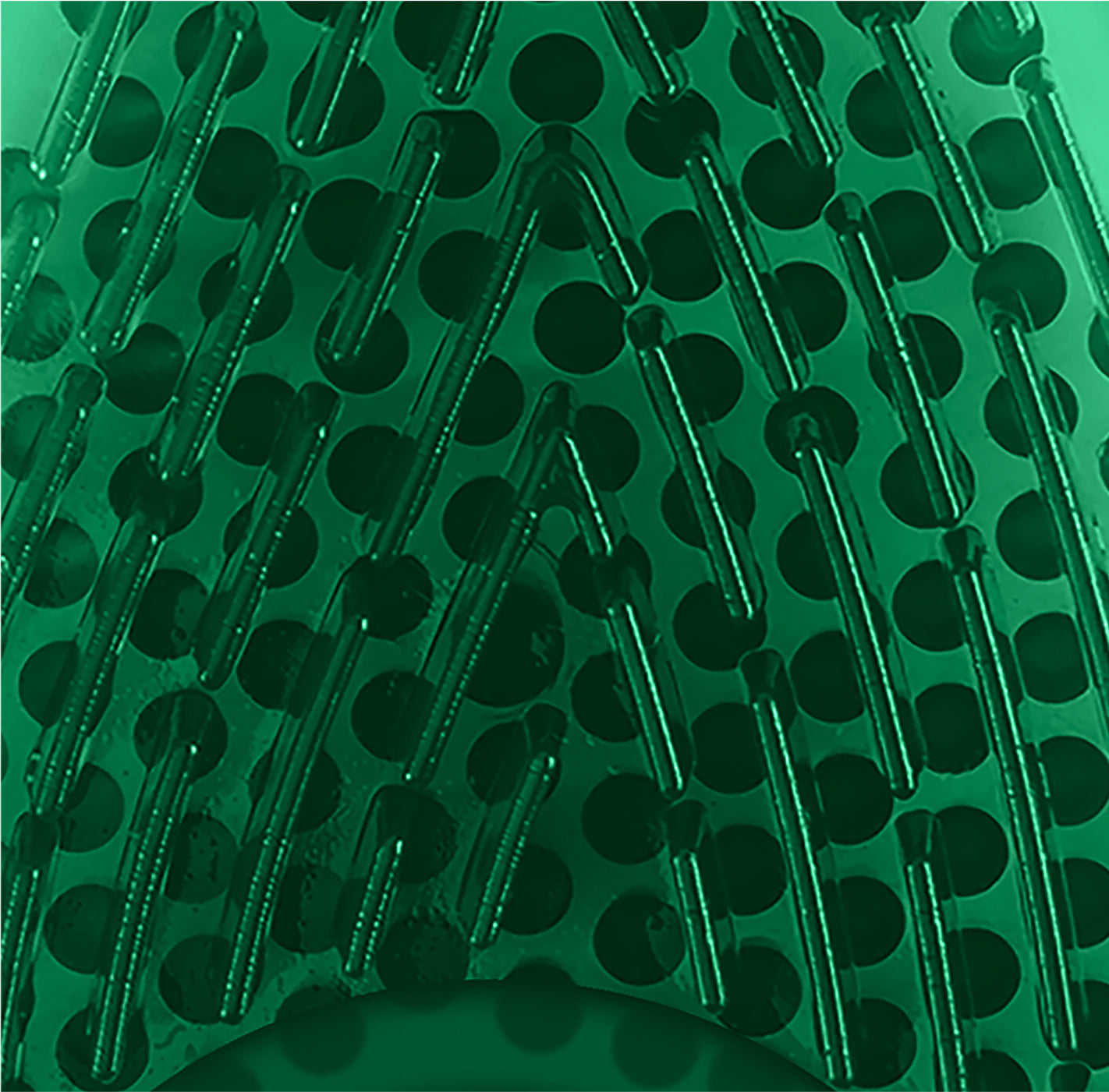 frësh drop green / pine