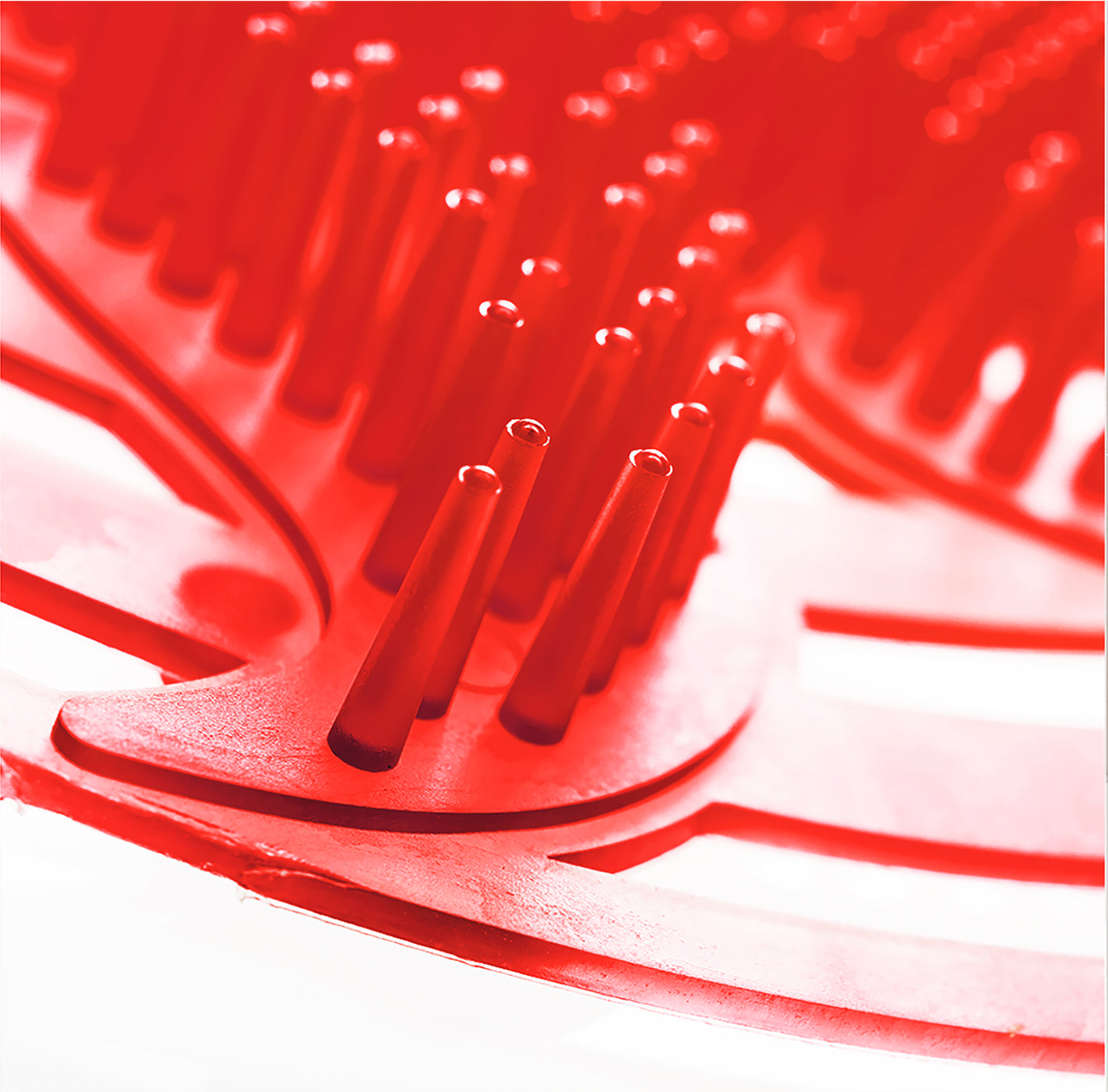 powër screen rot / melon, 2er-Pack