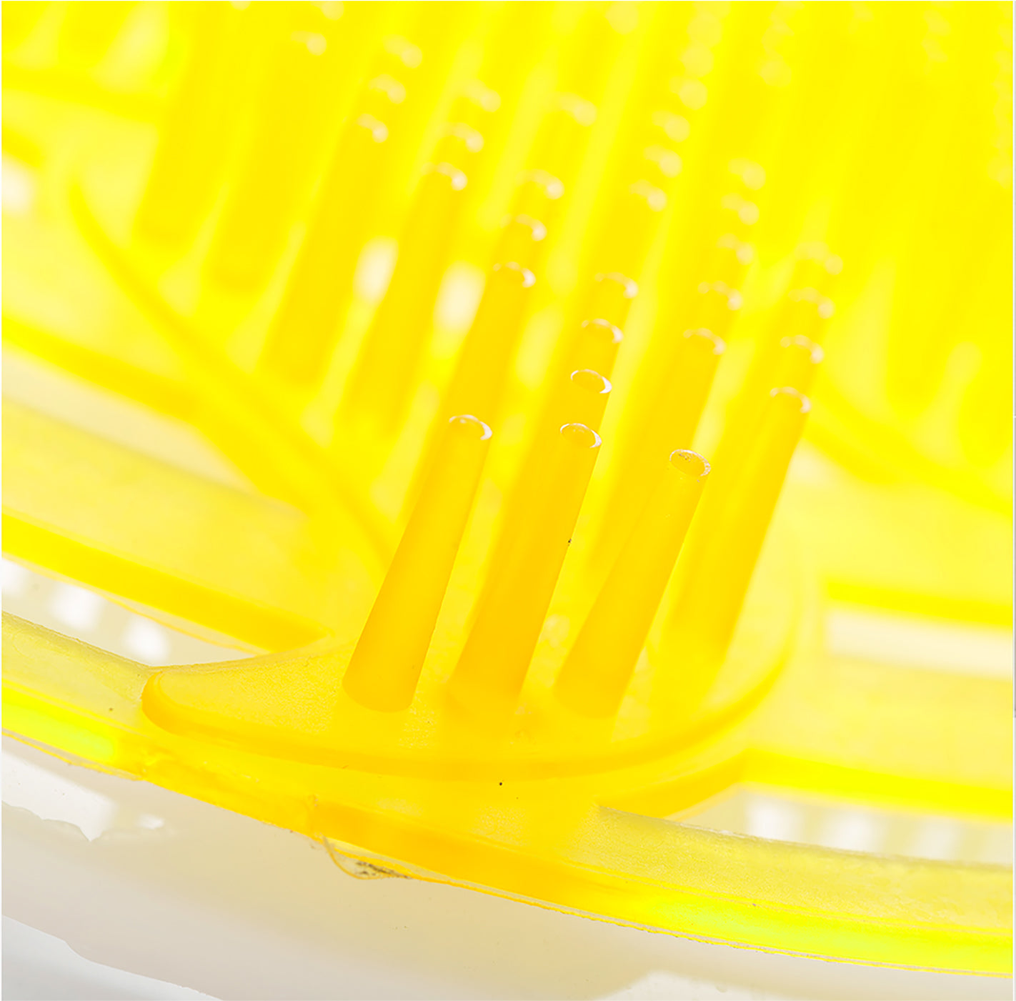 powër screen amarillo / cítrico, paquete de 2