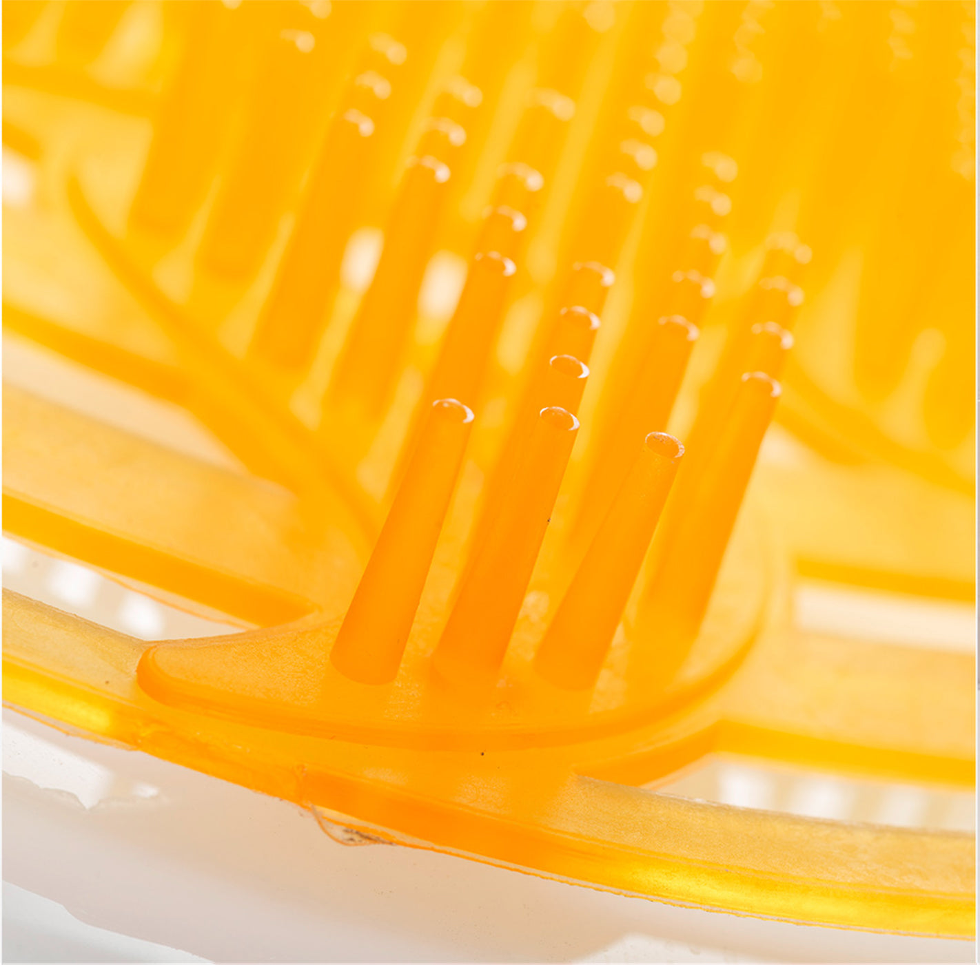 powër screen naranja / fruta tropical, paquete de 2
