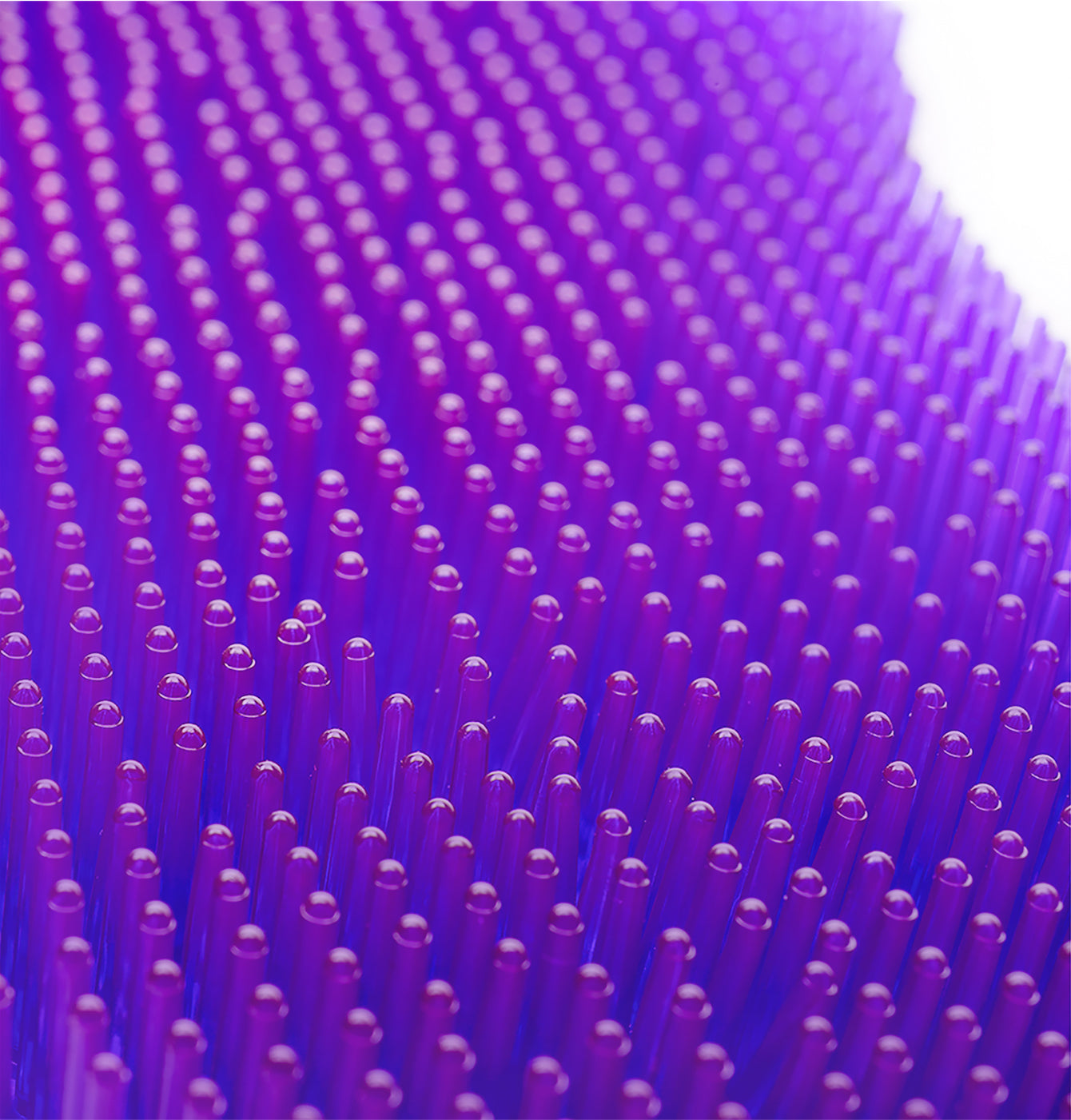 ëkcoscreen 60+ purple / lavender, pack of 2