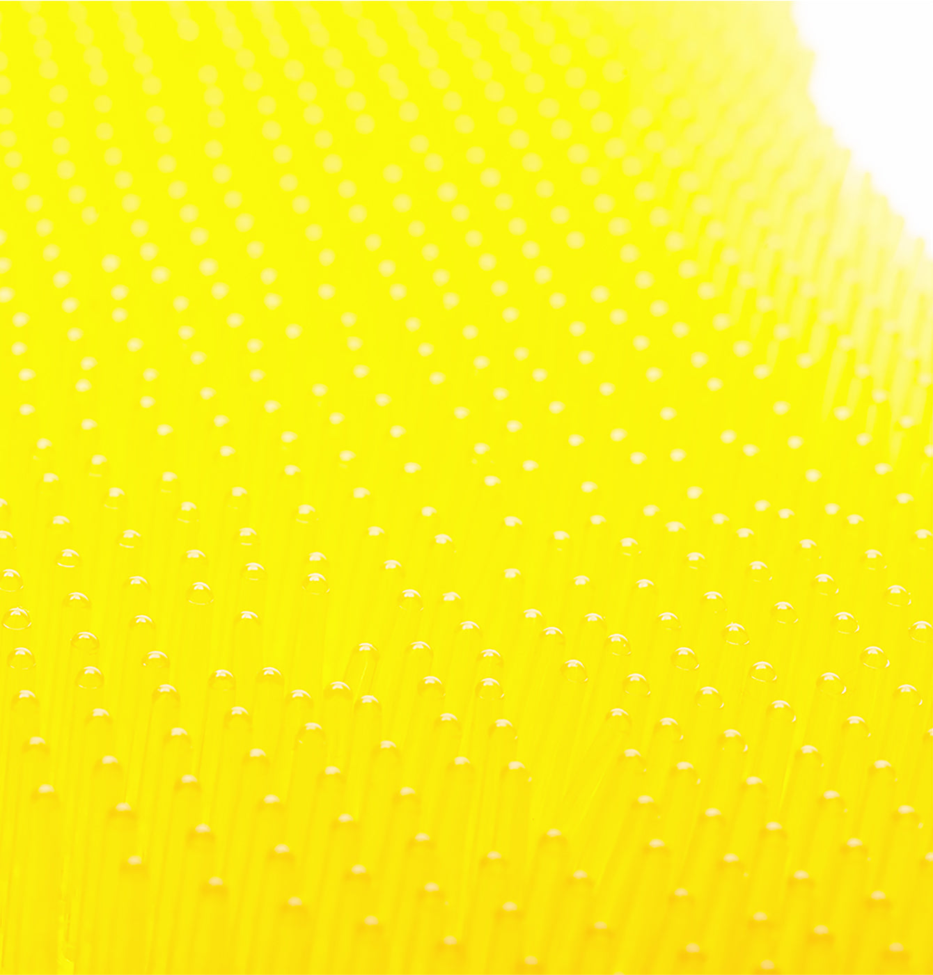 ëkcoscreen yellow / citrus