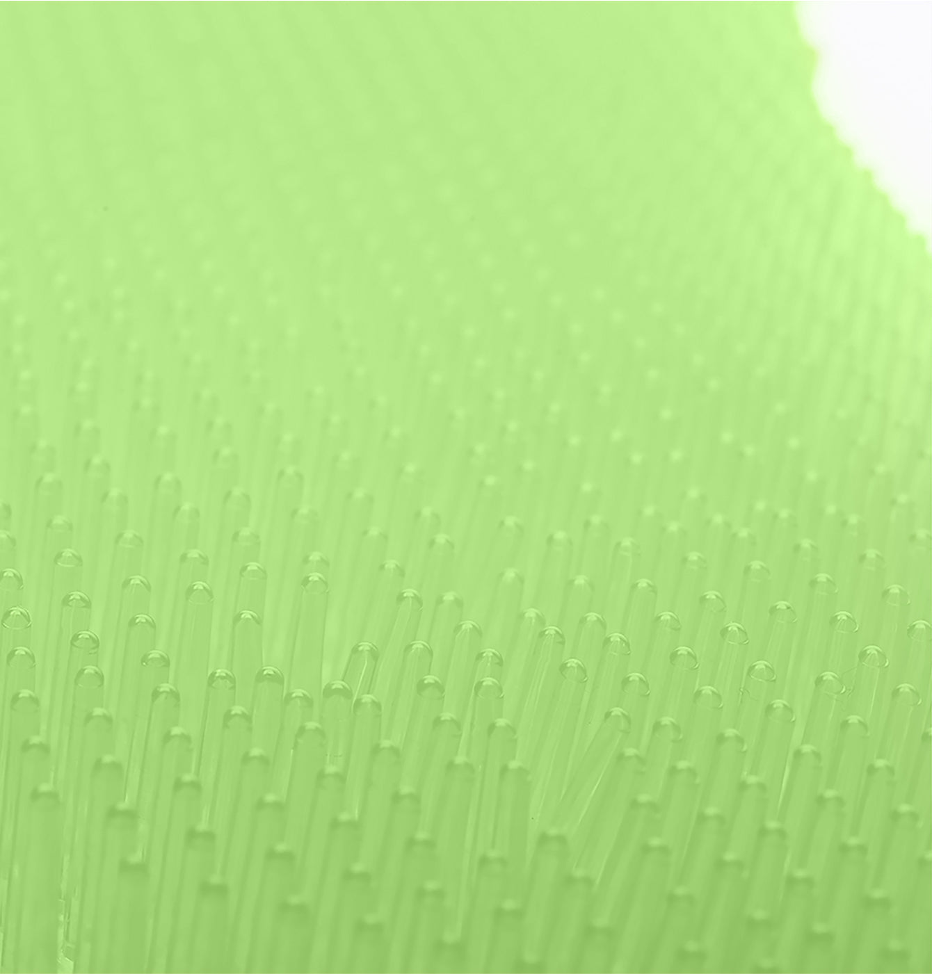 ëkcoscreen 60+ verde / manzana, paquete de 2