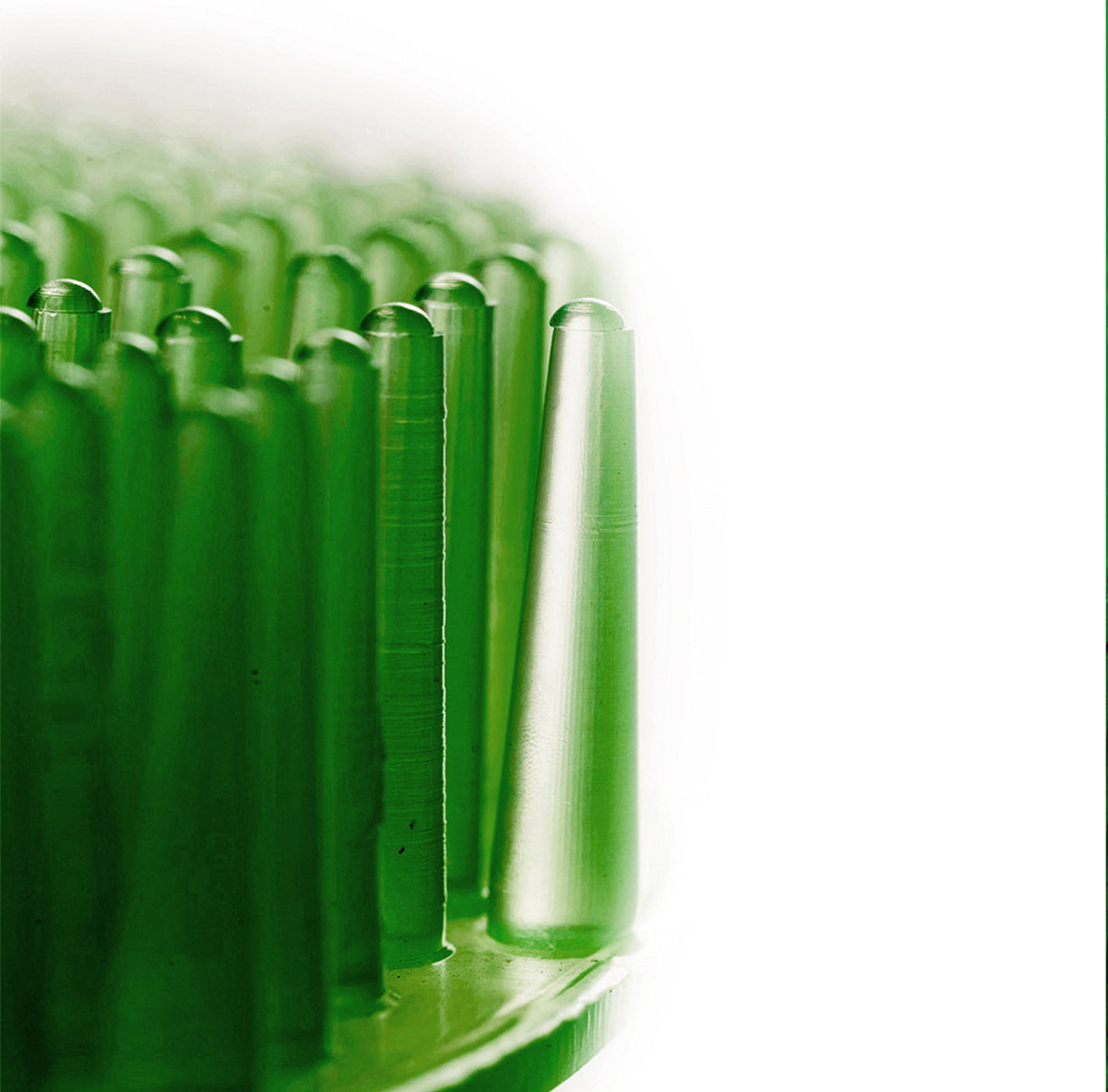 ëkcoscreen 60+ green / pine, pack of 2