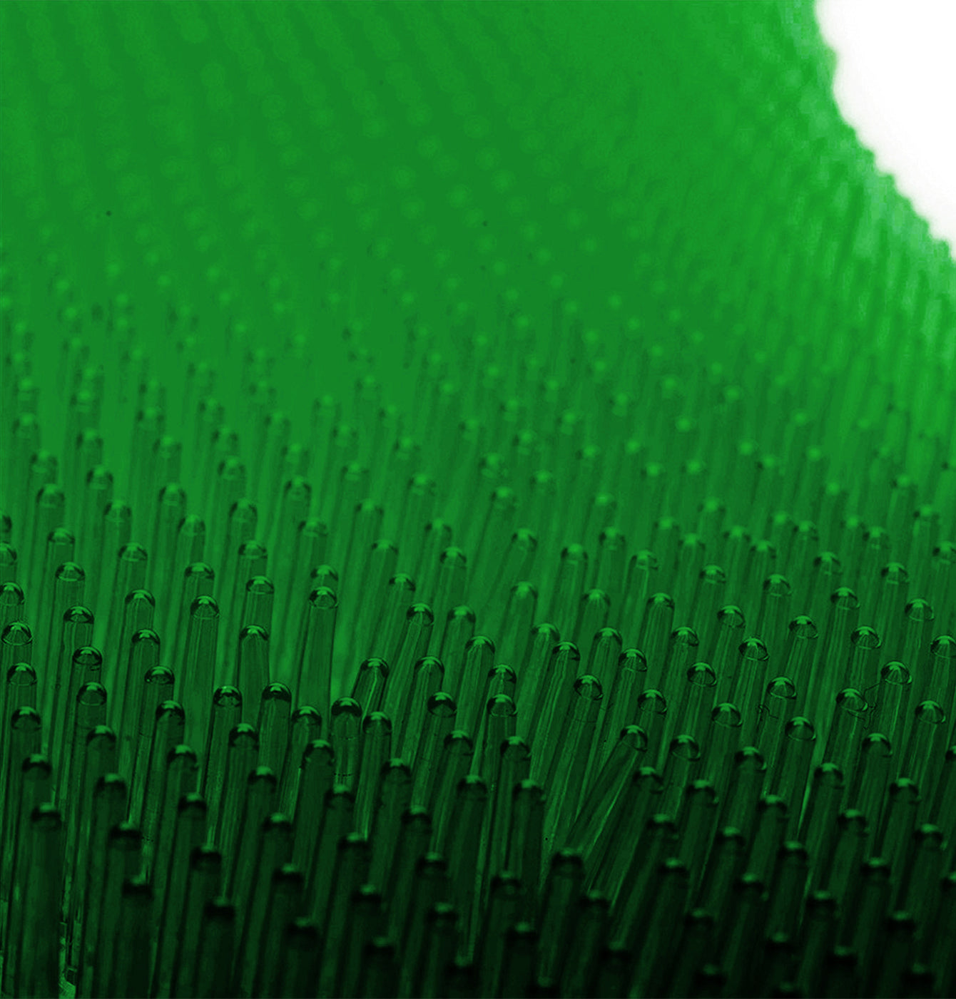 ëkcoscreen 60+ green / pine, pack of 2