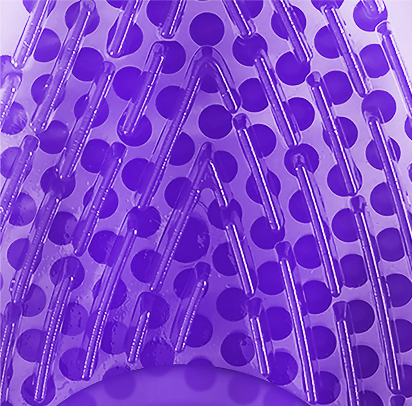 frësh drop purple / lavender