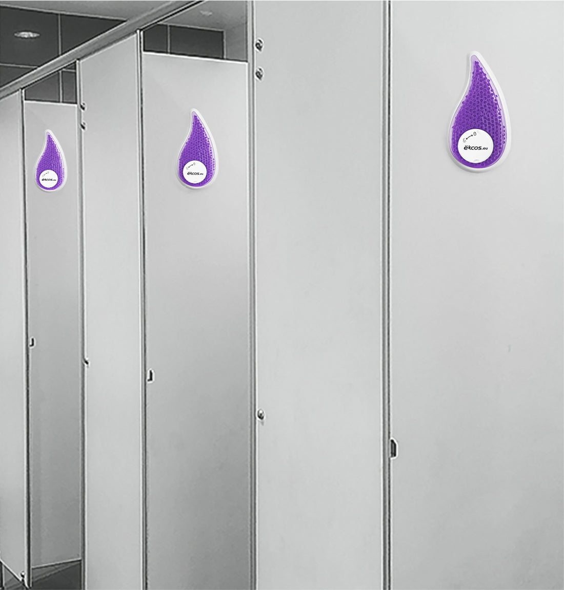 frësh drop purple / lavender
