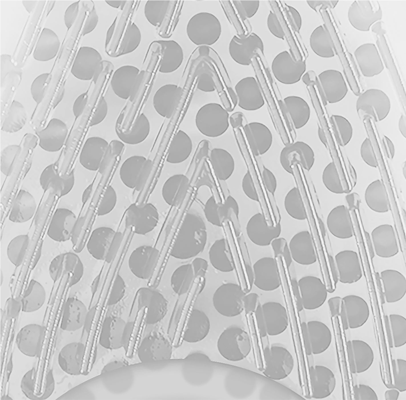 frësh drop vůně transparentní / tropické ovoce